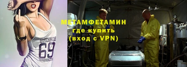 прущие грибы Бежецк