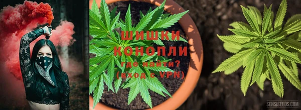 кокаин колумбия Михайлов