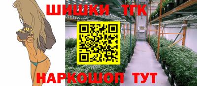 индика Нальчик