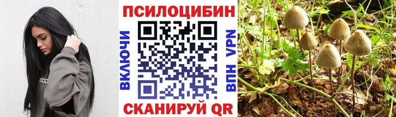 магазин  наркотиков  Нальчик  Псилоцибиновые грибы прущие грибы 