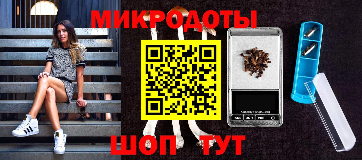 Галлюциногенные грибы Cubensis  Псилоцибиновые грибы мицелий  Нальчик  Вход с VPN 